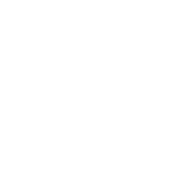 2N2 logo